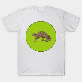 Philippine Pangolin T-Shirt